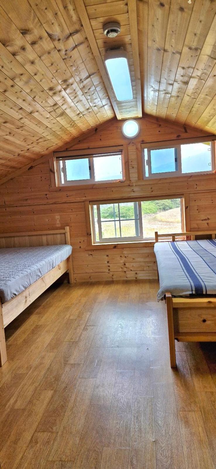 Tree House Guesthouse Jeju Ngoại thất bức ảnh